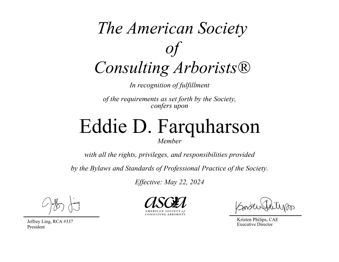 ASCA Consulting Arborist - Blog - Neck of the Woods Tree Service  - Eddie_Farquharson-1