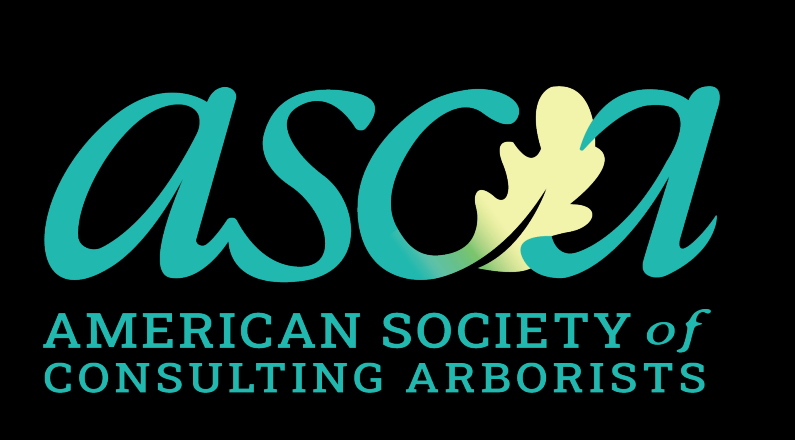 Neck of the Woods Tree Service | Tree Removal Services - black