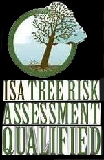 Is a Tree Risk Assessment Qualified